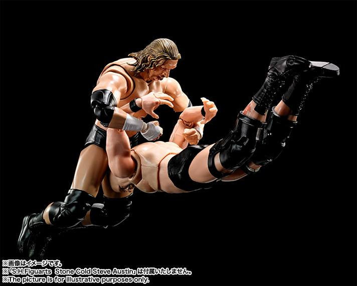S.H.Figuarts - WWE - Triple H - Marvelous Toys - 6