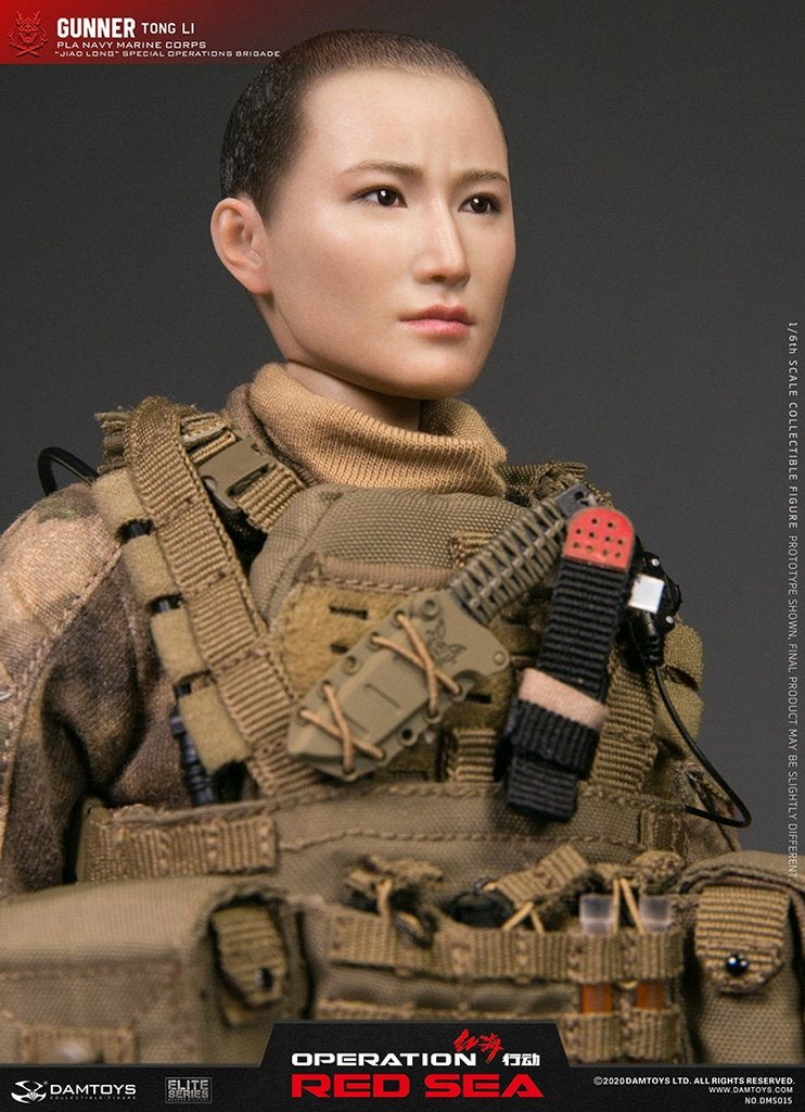 DamToys - Operation Red Sea - Jiaolong Special Operations Brigade - PLA Navy Marine Corps - Gunner &quot;Tong Li&quot; (1/6 Scale) - Marvelous Toys