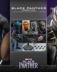 Hot Toys - MMS671 - Black Panther Legacy - Black Panther (Original Suit) - Marvelous Toys