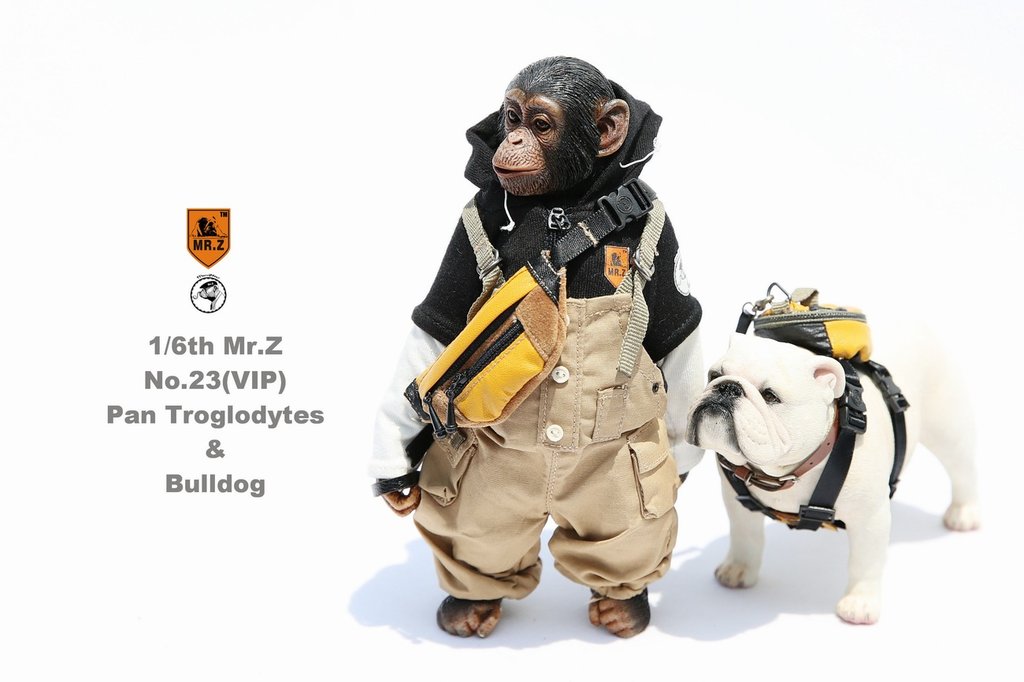 Mr. Z - Real Animal Series No. 23 - Chimpanzee and Bulldog (VIP) (1/6 Scale) - Marvelous Toys