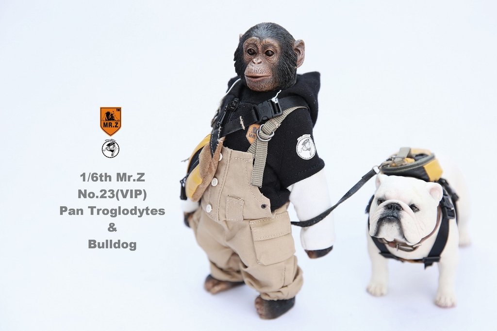 Mr. Z - Real Animal Series No. 23 - Chimpanzee and Bulldog (VIP) (1/6 Scale) - Marvelous Toys