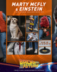 Hot Toys - MMS573 - Back to the Future - Marty McFly & Einstein - Marvelous Toys