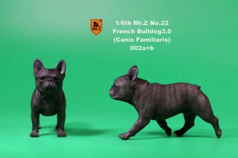 Mr. Z - Real Animal Series No. 22 - French Bulldog 3.0 002a+b (1/6 Scale) - Marvelous Toys