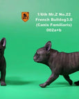 Mr. Z - Real Animal Series No. 22 - French Bulldog 3.0 002a+b (1/6 Scale) - Marvelous Toys