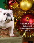 Mr. Z - Real Animal Series No. 21 - British Bulldog 4.0 001a+b (1/6 Scale) - Marvelous Toys