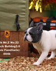 Mr. Z - Real Animal Series No. 22 - French Bulldog 3.0 004a+b (1/6 Scale) - Marvelous Toys