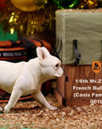 Mr. Z - Real Animal Series No. 22 - French Bulldog 3.0 001a+b (1/6 Scale) - Marvelous Toys