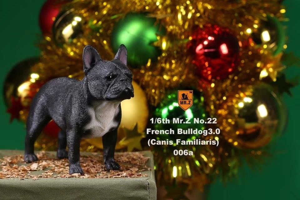 Mr. Z - Real Animal Series No. 22 - French Bulldog 3.0 006a+b (1/6 Scale) - Marvelous Toys
