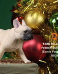 Mr. Z - Real Animal Series No. 22 - French Bulldog 3.0 003a+b (1/6 Scale) - Marvelous Toys