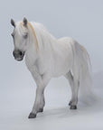 JxK.Studio - JxK165A3 - Mongolian Horse (1/6 Scale) - Marvelous Toys