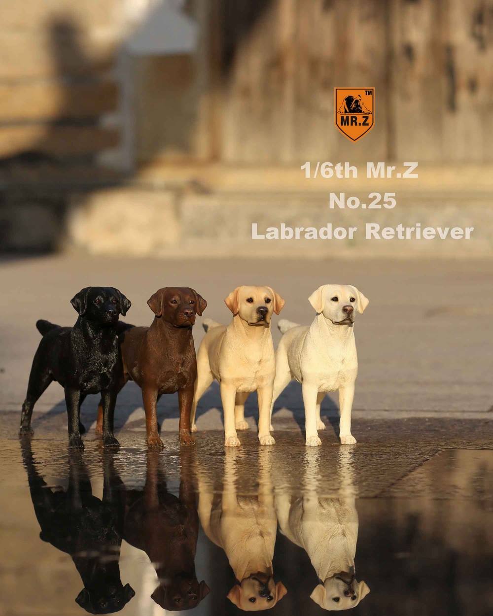 Mr. Z - Real Animal Series No. 25 - Labrador Retriever 002 (1/6 Scale)