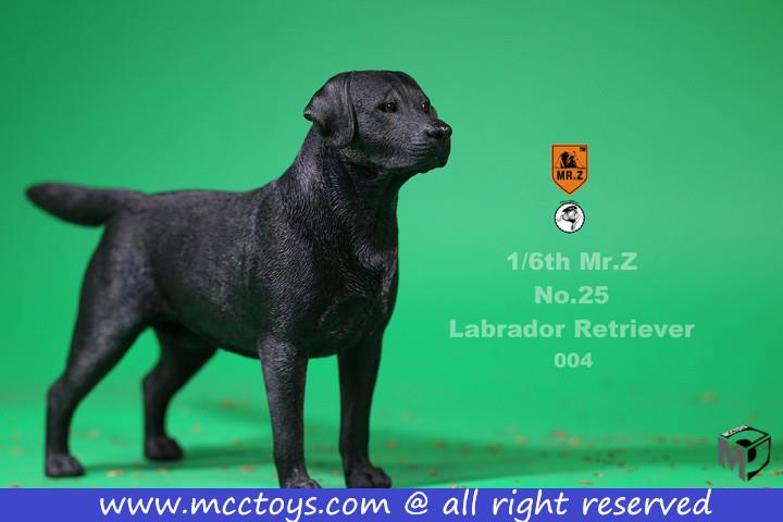 Mr. Z - Real Animal Series No. 25 - Labrador Retriever 004 (1/6 Scale) - Marvelous Toys