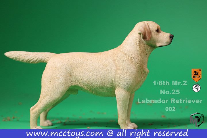 Mr. Z - Real Animal Series No. 25 - Labrador Retriever 002 (1/6 Scale)