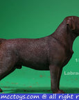 Mr. Z - Real Animal Series No. 25 - Labrador Retriever 003 (1/6 Scale) - Marvelous Toys