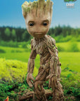 Hot Toys - TMS088 - I Am Groot - Groot - Marvelous Toys