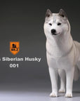Mr. Z - Real Animal Series No. 16 - Siberian Husky 001 (1/6 Scale) - Marvelous Toys