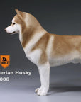 Mr. Z - Real Animal Series No. 16 - Siberian Husky 006 (1/6 Scale) - Marvelous Toys