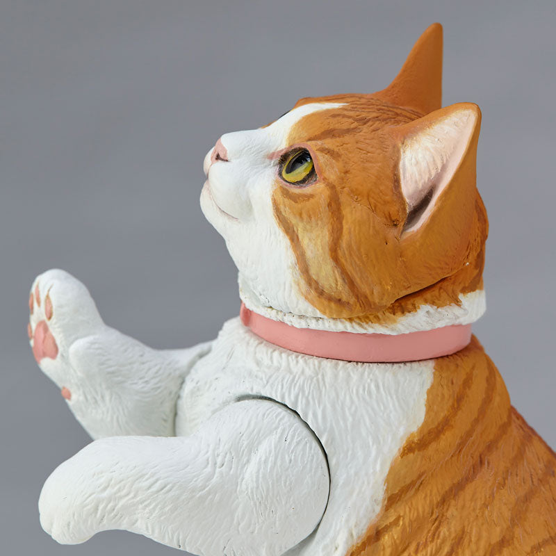 Kaiyodo - Sofubi Toy Box 016A - Munchkin Cat - Marvelous Toys