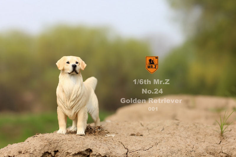 Mr. Z - Real Animal Series No. 24 - Golden Retriever 001 (1/6 Scale)