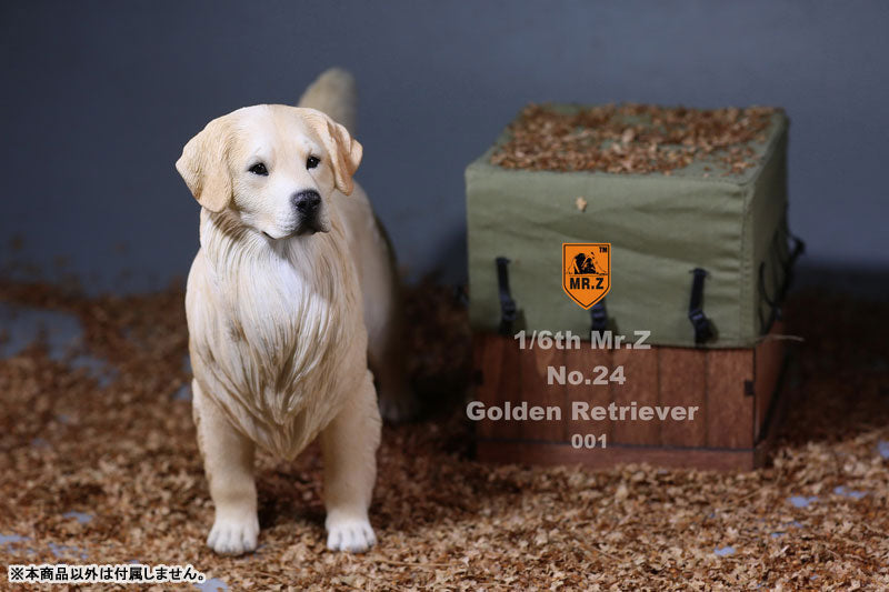 Mr. Z - Real Animal Series No. 24 - Golden Retriever 001 (1/6 Scale)