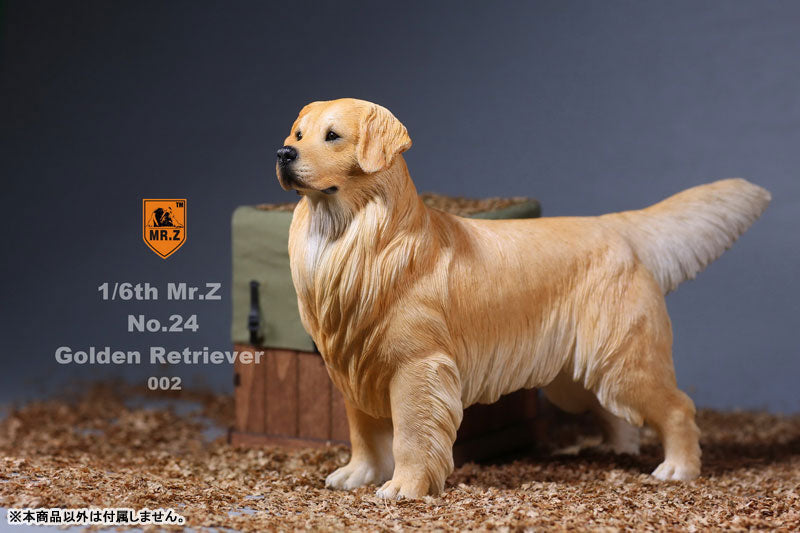 Mr. Z - Real Animal Series No. 24 - Golden Retriever 002 (1/6 Scale) - Marvelous Toys