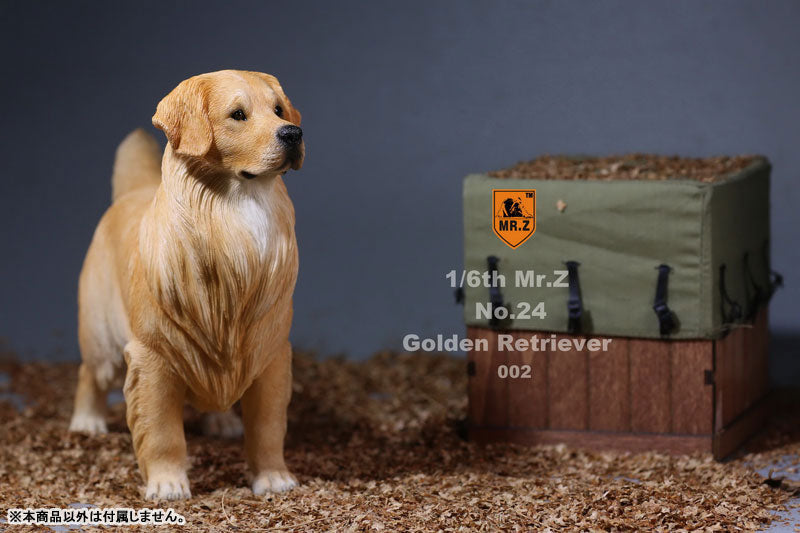 Mr. Z - Real Animal Series No. 24 - Golden Retriever 002 (1/6 Scale) - Marvelous Toys