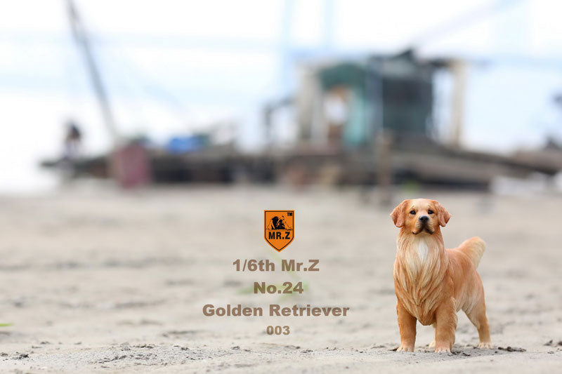 Mr. Z - Real Animal Series No. 24 - Golden Retriever 003 (1/6 Scale) - Marvelous Toys