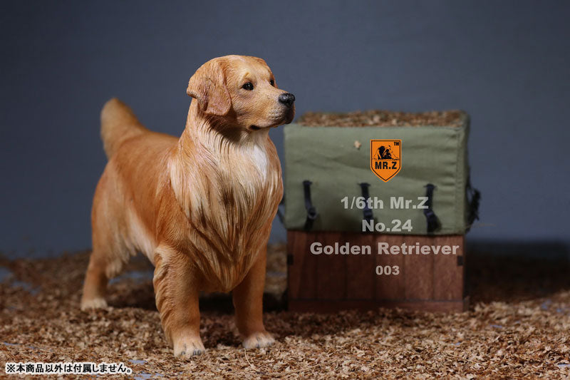 Mr. Z - Real Animal Series No. 24 - Golden Retriever 003 (1/6 Scale)