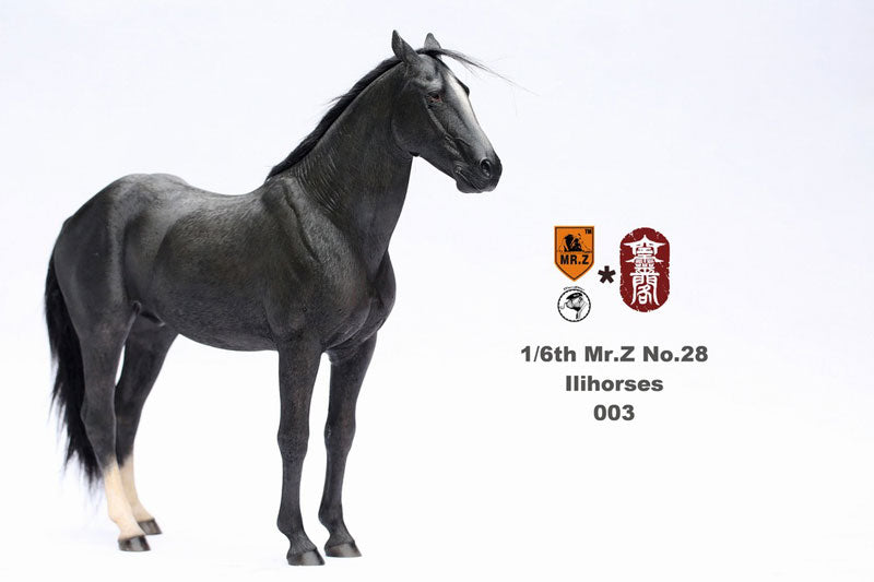 Mr. Z - Real Animal Series No. 28 - Ili Horse 003 (1/6 Scale) - Marvelous Toys