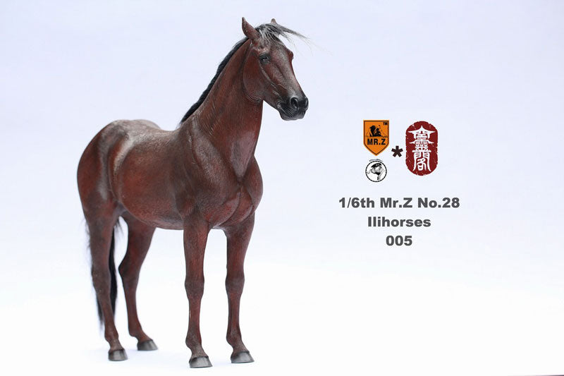Mr. Z - Real Animal Series No. 28 - Ili Horse 005 (1/6 Scale) - Marvelous Toys