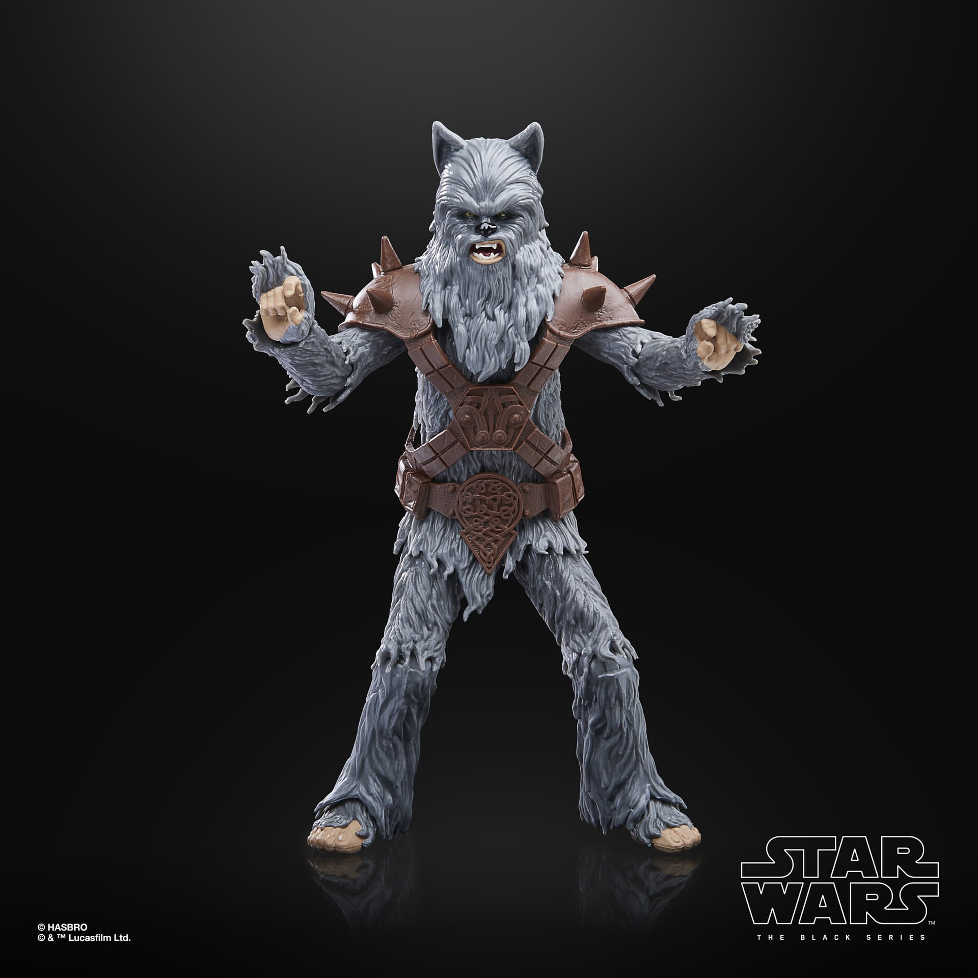 Hasbro - Star Wars: The Black Series - Wookie (Halloween Edition) - Marvelous Toys