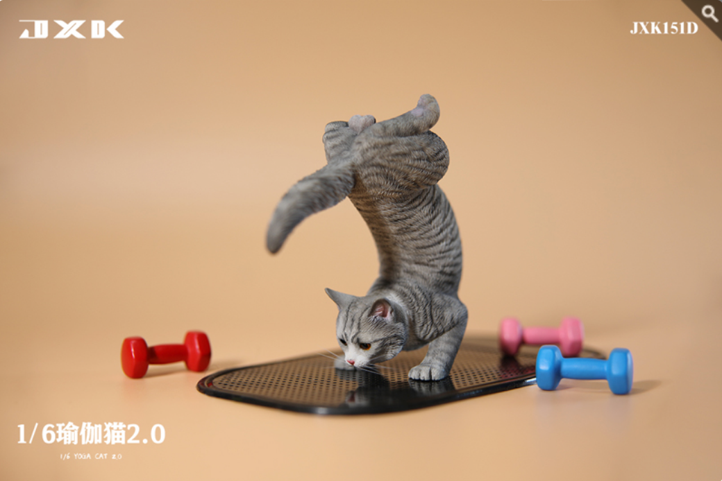 JxK.Studio - JxK151D - Yoga Cat 2.0 (1/6 Scale) - Marvelous Toys
