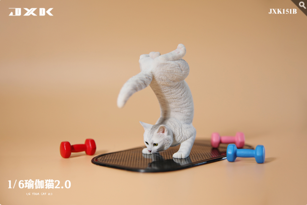JxK.Studio - JxK151B - Yoga Cat 2.0 (1/6 Scale) - Marvelous Toys