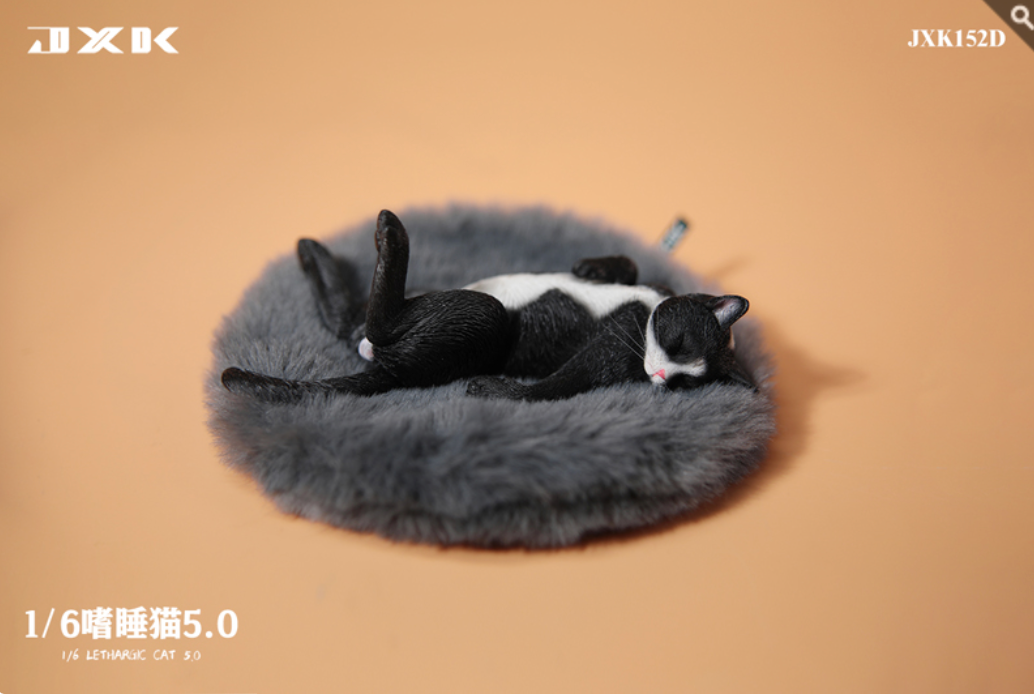 JxK.Studio - JxK152D - Lethargic Cat 5.0 (1/6 Scale) - Marvelous Toys