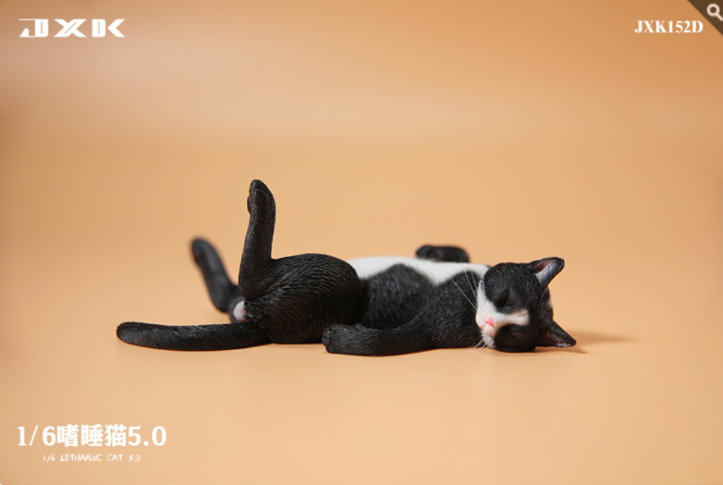 JxK.Studio - JxK152D - Lethargic Cat 5.0 (1/6 Scale) - Marvelous Toys