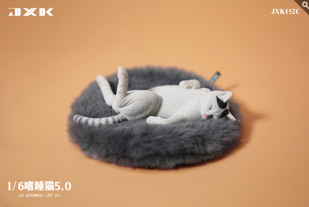 JxK.Studio - JxK152C - Lethargic Cat 5.0 (1/6 Scale) - Marvelous Toys