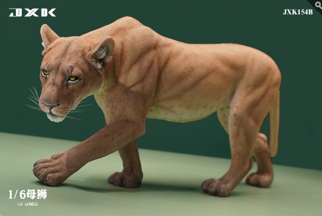 JxK.Studio - JxK154B - Lioness (1/6 Scale) - Marvelous Toys