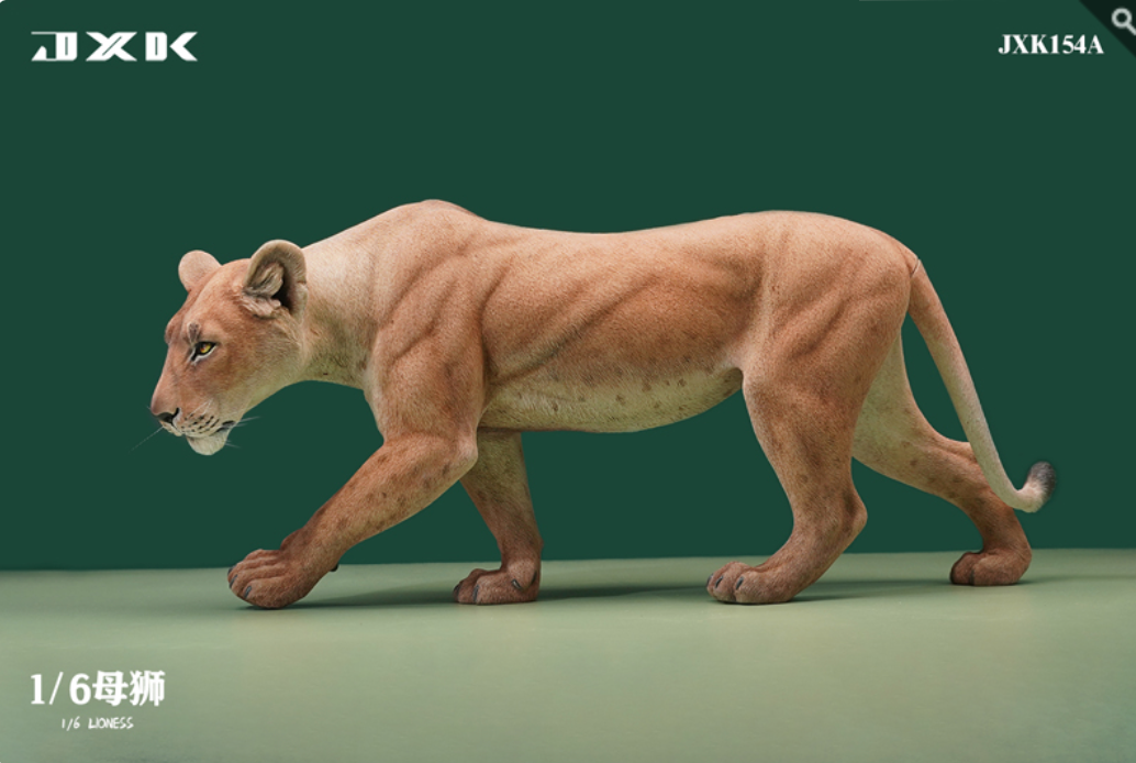 JxK.Studio - JxK154A - Lioness (1/6 Scale) - Marvelous Toys