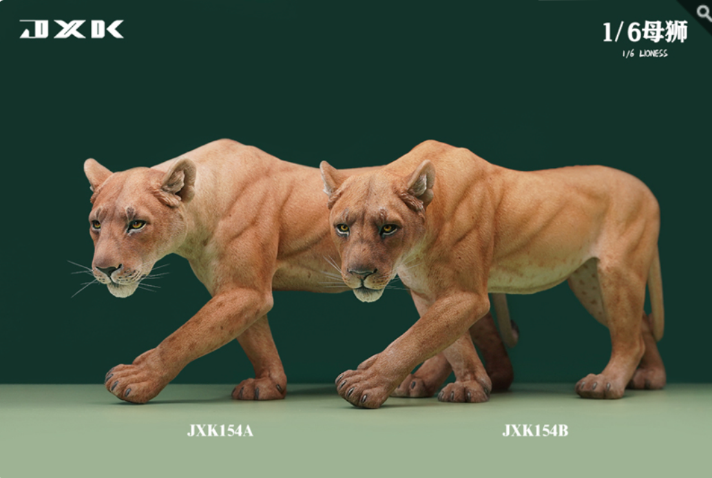 JxK.Studio - JxK154A - Lioness (1/6 Scale) - Marvelous Toys