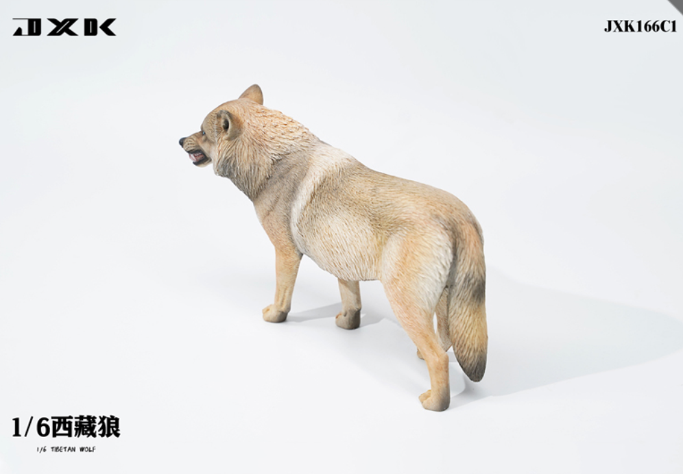 JxK.Studio - JxK166C1 - Tibetan Wolf (1/6 Scale)