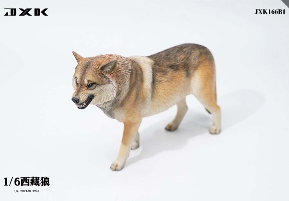 JxK.Studio - JxK166B1 - Tibetan Wolf (1/6 Scale)