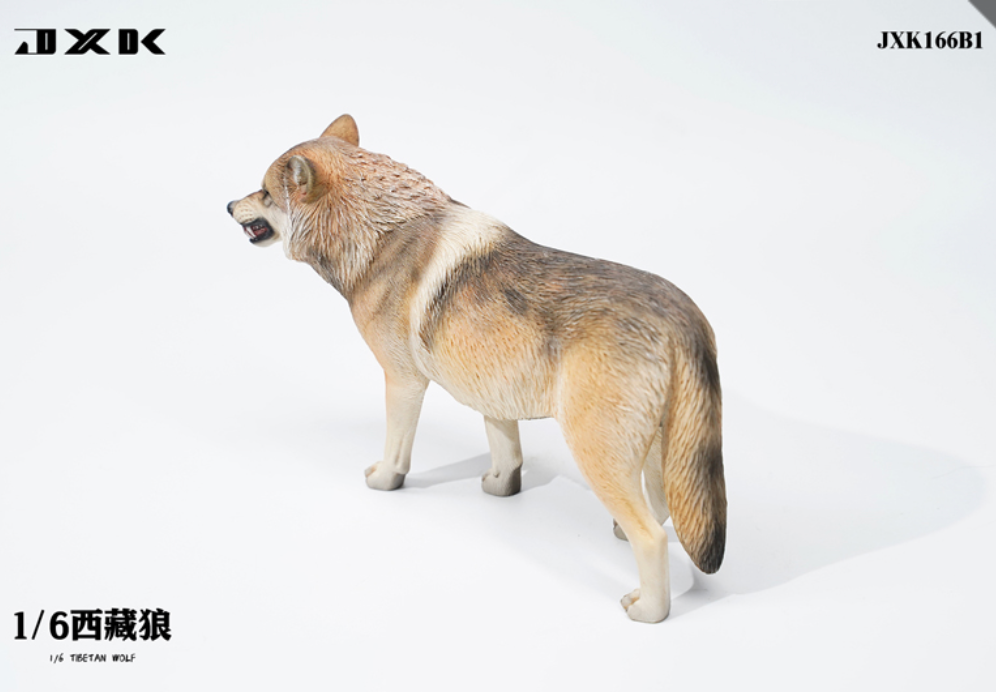 JxK.Studio - JxK166B1 - Tibetan Wolf (1/6 Scale)