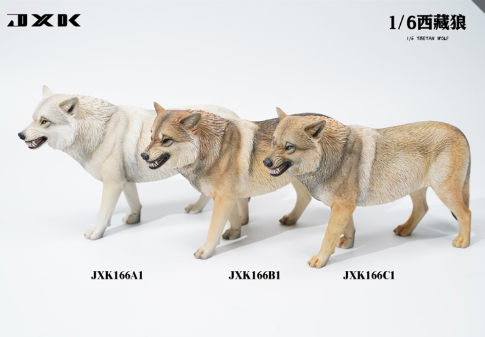 JxK.Studio - JxK166B1 - Tibetan Wolf (1/6 Scale) - Marvelous Toys