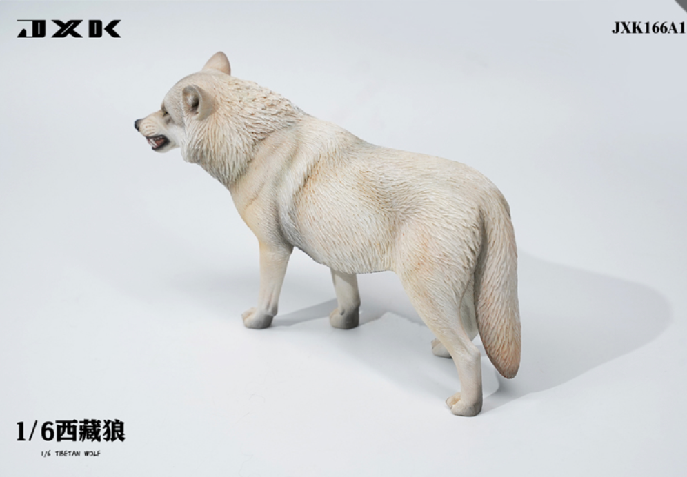 JxK.Studio - JxK166A1 - Tibetan Wolf (1/6 Scale) - Marvelous Toys