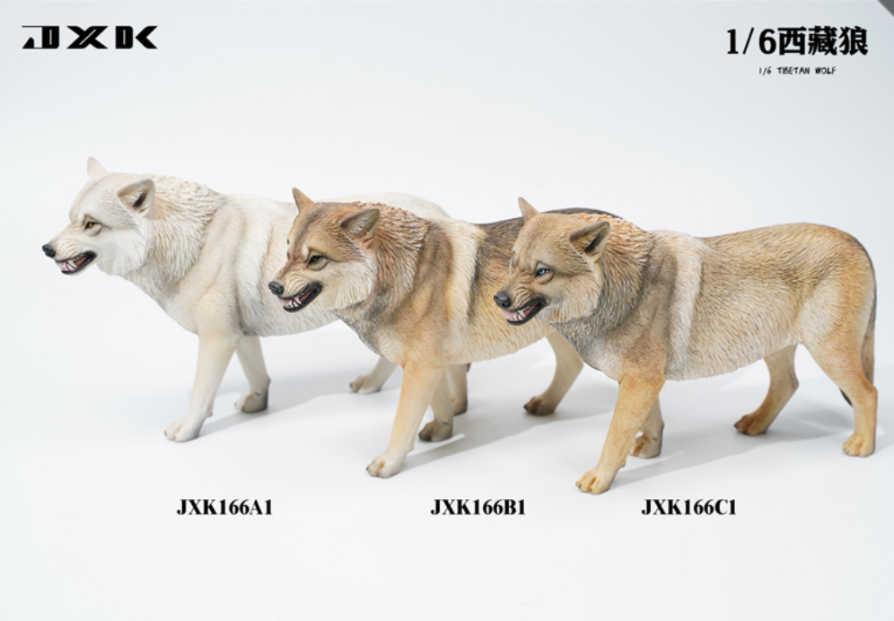 JxK.Studio - JxK166A1 - Tibetan Wolf (1/6 Scale)