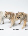 JxK.Studio - JxK166A1 - Tibetan Wolf (1/6 Scale) - Marvelous Toys