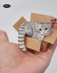 JxK.Studio - JS2305C - Cat in the Delivery Box 3.0 (1/6 Scale) - Marvelous Toys