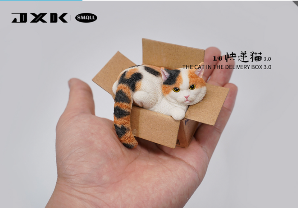 JxK.Studio - JS2305B - Cat in the Delivery Box 3.0 (1/6 Scale)