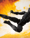 S.H.Figuarts - Avengers: Infinity War - Black Panther & Tamashii Effect Rock (TamashiiWeb Exclusive) - Marvelous Toys