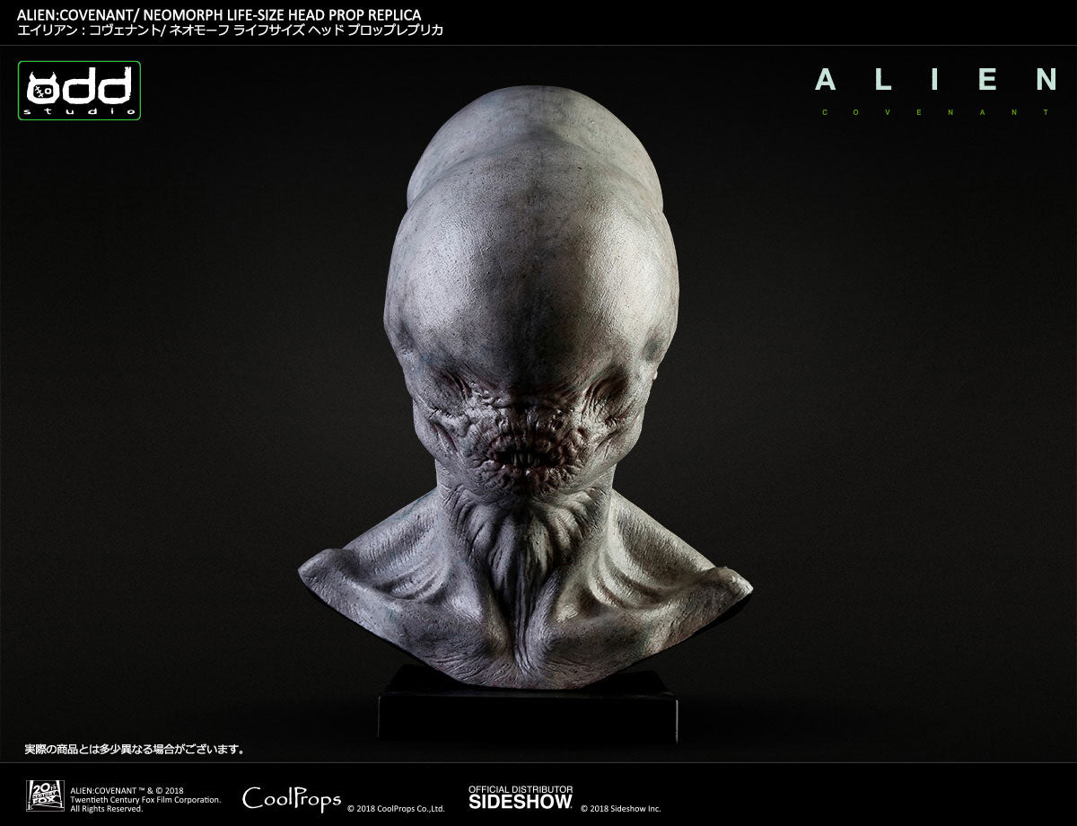 Sideshow Collectibles - Alien: Covenant - Neomorph Life-Size Head Prop Replica by CoolProps - Marvelous Toys